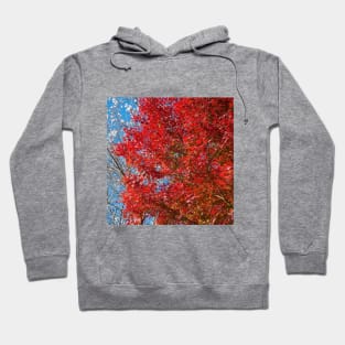 SCENERY 72 - Red Flower Blooming Blossom Tree Summer Hoodie